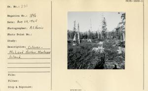 Cutover - McLeod Harbor, Montague Island.