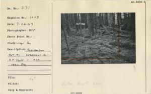 Reproduction Plot #1 established by R.F. Taylor in 1929. Virgin Bay.