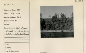 Well-stocked clearcut in Warm Chuck Inlet. Date logged---?