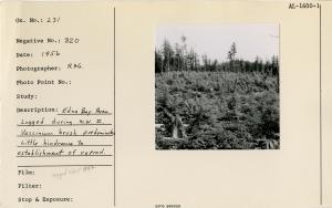 Edna Bay, area logged during W.W. II. Vaccinium brush predominates. Little hindrance to establishment of reprod (logged about 1942).