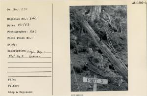 Virgin Bay - Plot No. 5. Godman.