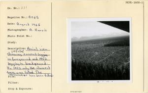 Aerial view Yakutat showing current logging in foreground and 1952 logging in background. In 1952 only the choicest trees were felled. The remainder have been felled.