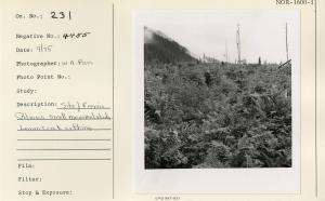 Site of Francis Dolman's small mammal study, 1960's Lemon Creek cutting.