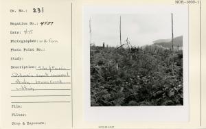 Site of Francis Dolman's small mammal study, 1960's Lemon Creek cutting.