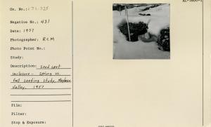 Seed spot enclosure - spring bs. seeding study, Maybeso Valley, 1957.