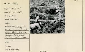 Training in stocked quadrat plot tally. Harris, Kresien, Springer. Note stake marking plot center.