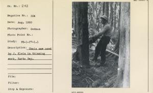 Chain saw used by J. Klein in thinning work, Karta Bay.