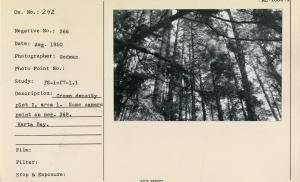 Crown condition plot 2, area 1. Same camera point as neg. 369.