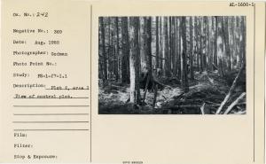 Plot 2, area 1. View of control plot.