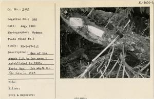 One of the beach I.P.'s for area 1 established in 1950. Karta Bay. See neg. no. 120 for view in 1960.