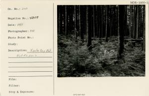 Karta Bay, Plot #2, Area 2.