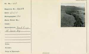 Beach fringe, St. James Bay.