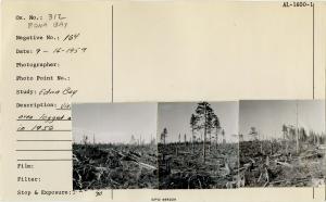 View area logged in 1956.