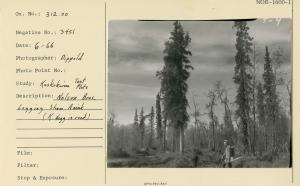 Nelson Bros. logging show, Aniak (K. Hegg in road).