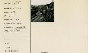 Campbell's logging show. Campbell's logging show.