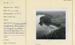 Logging operation at Yakutat. Area shown was logged in 1952. Current operation is adjacent to this area.
