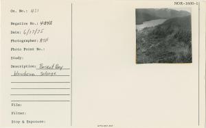 Basket Bay - Blowdown Salvage.