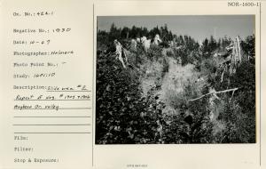 Slide treatment area #2. Repeat of Neg #1905 and 1906 Maybeso Cr. Valley.