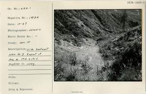 Slide treatment area #3. Repeat of Neg #1914 & 1915 Maybeso Cr. Valley.