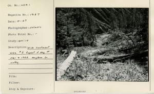 Slide treatment area #5. Repeat of Neg #1921 & 1925 Maybeso Cr. Valley.