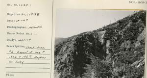 Check area #6. Repeat of Neg # 1926 & 1927. Maybeso Cr. Valley.