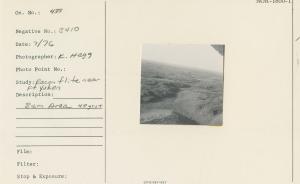 Burn area, 40 yrs +.