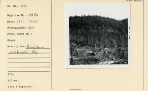Recent burn, Whitewater Bay.