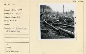 Recent burn, Whitewater Bay.