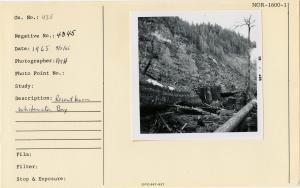 Recent burn, Whitewater Bay.