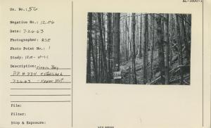 Virgin Bay P.P. # 334, established 7-26-63. Upper Plot.