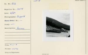 Haines.