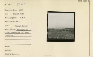 Mill site at Alaska Hardwoods Co. near Wasilla.