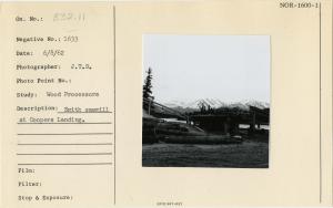 Smith sawmill at Coopers Landing.