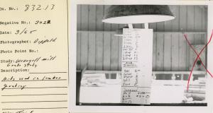 Aids used in lumber grading.