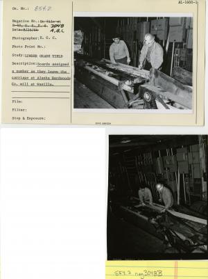 Boards assigned a number as they leave the carriage at Alaska Hardwoods Co. mill at Wasilla.