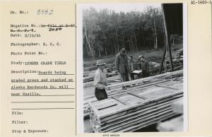 Boards being graded green and stacked at Alaska Hardwoods Co. mill near Wasilla.