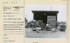Stacks of graded lumber waiting to be loaded into kiln for drying Alaska Hardwoods mill.