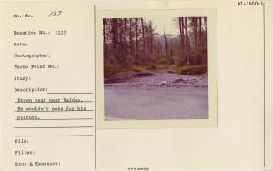 Brown bear near Valdez. He wouldn't pose for his picture.