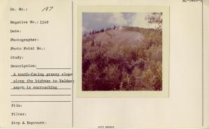 A south-facing grassy slope along the highway to Valdez; aspen is encroaching.