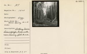 Looking down Seismograph Road with crew leaving plot #012. Photo point: Kenai.