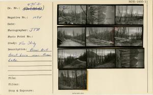Kenai National Forest burn near Kenai Lake.