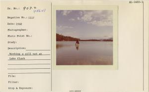 Working a gill net at Lake Clark.