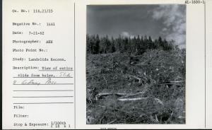 View of entire slide from below. Slide 8, Gedney Pass.