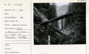 Debris in ravine at source for "slide" 14 - Maybeso Valley.