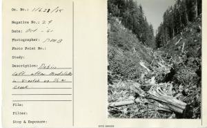 Debris left after mudslides in v-notch up 1/2 mile creek.