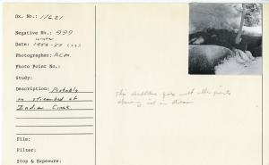 Probably on streambed of Indian Creek.