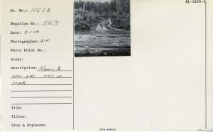 Harris River, Spur 241:  view up creek.
