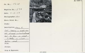 Harris River: cat logging in creek, Spur 241. Plugged culvert allowed pool to form on road. Siltation on slash below road.