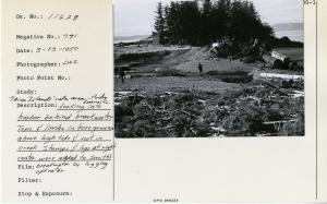 Three Islands sale area - Purdy Logging Co. Looking into harbor behind breakwater. Tops & limbs in foreground above high tide & not in creek. Stumps & logs at right center were added to Smith's breakwater by logging operator.