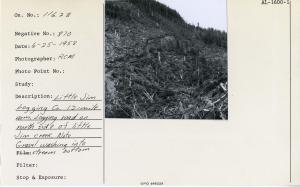 Little Jim Logging Company, 12-mile Arm. Logging road on north side of Little Jim Creek. Note gravel washing  into stream bottom.